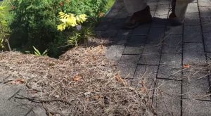 Roof debris on Inspection