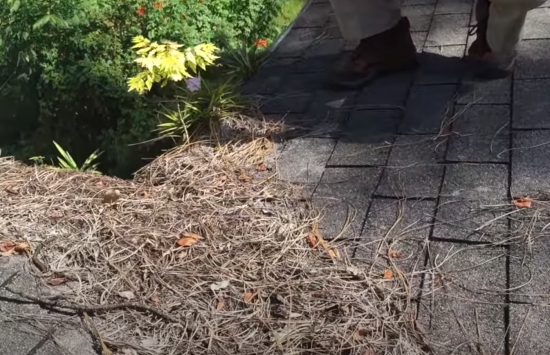 Roof debris on Inspection